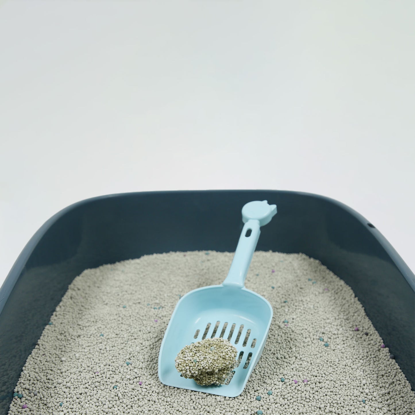 Clean + : Clumping Cat Litter : 5L : Baby Powder